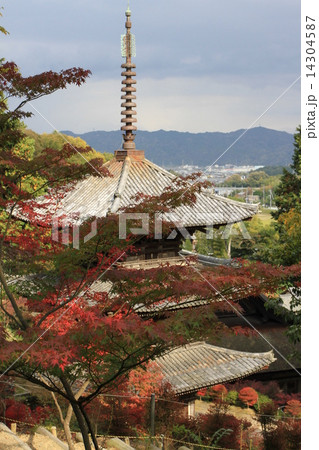 常楽寺 14304587