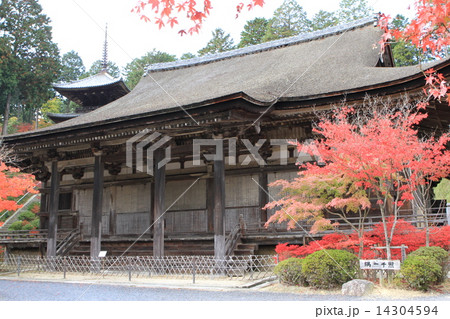 常楽寺 常楽寺 14304594