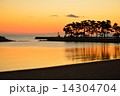 黄金色の浜辺 14304704