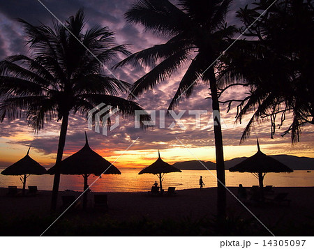 夜明けのビーチinベトナム 夜明けのビーチinベトナム 14305097