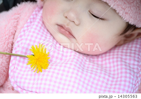 子供 14305563