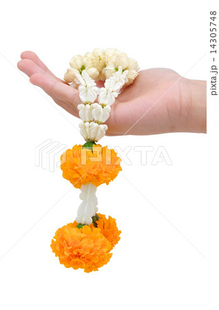 Flower Garland 14305748