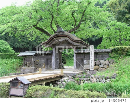 一乗谷遺跡 一乗谷遺跡 14306475