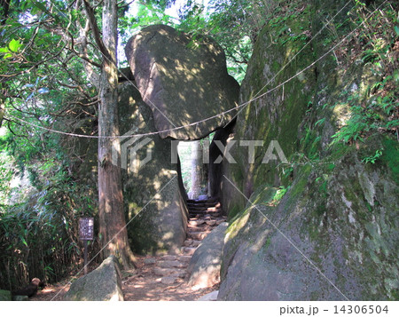 筑波山　弁慶七戻り 14306504