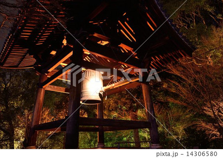 京都東山花灯路　高台寺 14306580