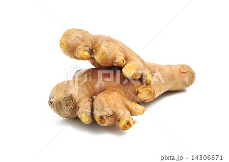 Ginger 14306671