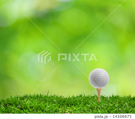 Tee Off 14306675
