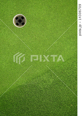 golf hole on a field 14306709