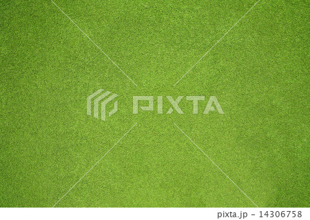 Grass 14306758