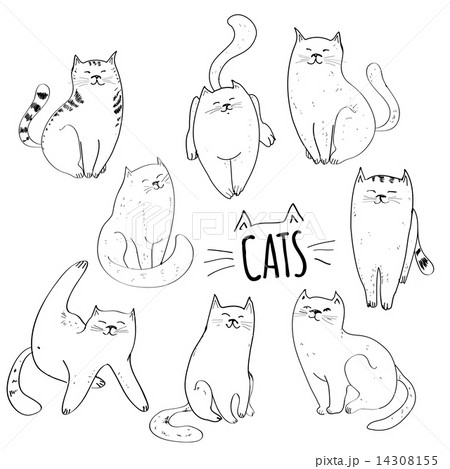 Collection of cats 14308155