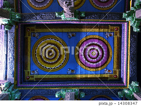Ceiling Meenakshi Sundareswarar Temple in Madurai, South India 14308347