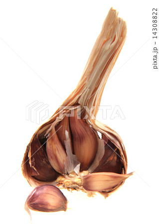 garlic head garlic head 14308822