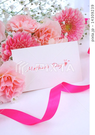 母の日 14309239