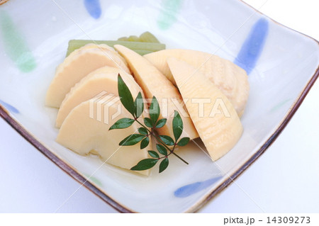 筍と蕗の煮物 筍と蕗の煮物 14309273