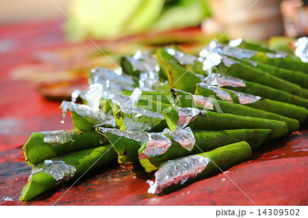 paan, an indian mouth freshner 14309502