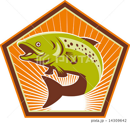 Trout Fish Jumping Retro 14309642