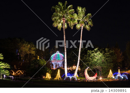 フローランテ宮崎イルミネーション フローランテ宮崎イルミネーション 14309891