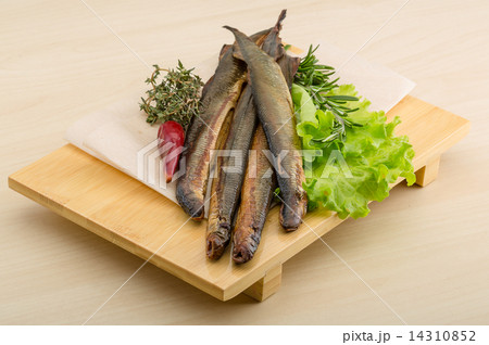 Lamprey Lamprey 14310852