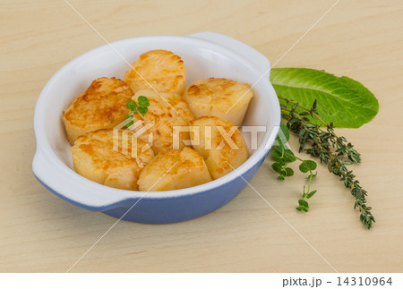 Grilled scallops 14310964