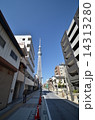 路地から見るスカイツリー 路地から見るスカイツリー 14313280