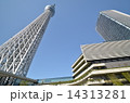 下から見たスカイツリー 下から見たスカイツリー 14313281