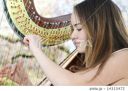 ハープを奏でる女性ーWomen who play the harpの写真素材