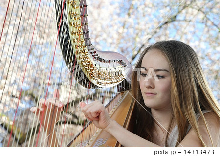 ハープを奏でる女性ーWomen who play the harpの写真素材 [14313473