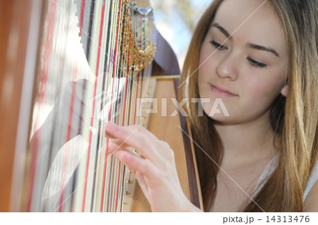 ハープを奏でる女性ーWomen who play the harp ハープを奏でる女性ーWomen who play the harp 14313476