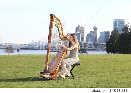 ハープを奏でる女性ーWomen who play the harpの写真素材