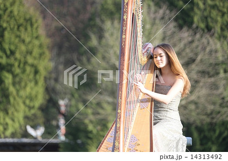 ハープを奏でる女性ーWomen who play the harp 14313492