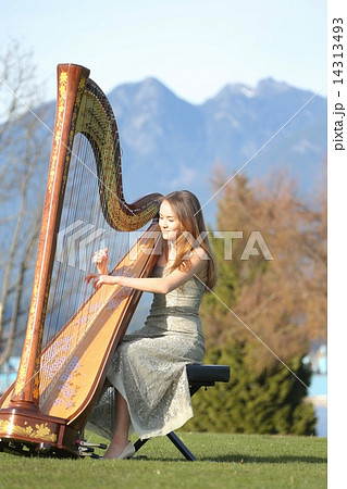 ハープを奏でる女性ーWomen who play the harp 14313493