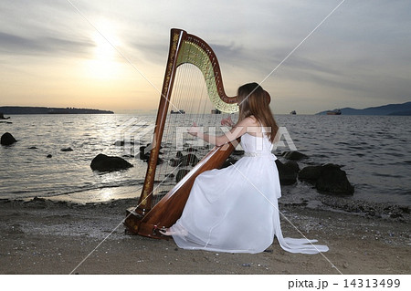 ハープを奏でる女性ーWomen who play the harpの写真素材 [14313499