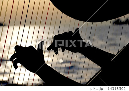 ハープを奏でる女性ーWomen who play the harp 14313502