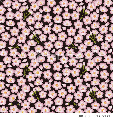 桜の壁紙 14315434