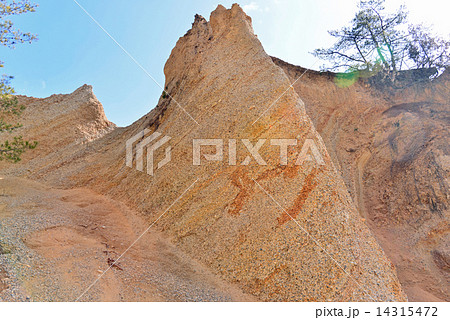 上田市指定文化財鴻の巣 14315472