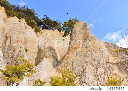 上田市指定文化財鴻の巣 14315475
