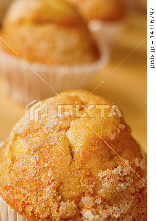 magdalenas, typical spanish plain muffins 14316797