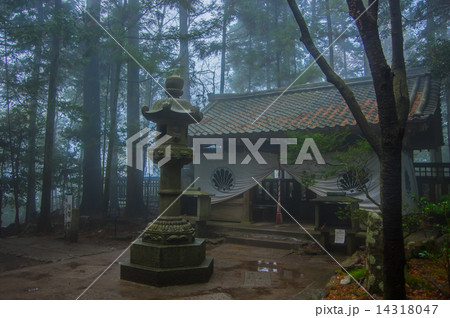 鞍馬山の山道 14318047