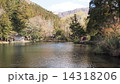 湖畔 14318206