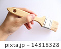 刷毛を持つ手 14318328