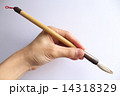 毛筆を持つ手 14318329