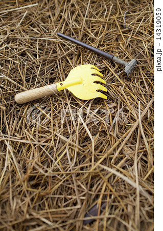 cultivator forks on rice straw 14319059