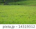 公園 14319312