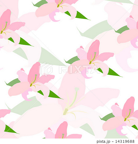 Lilly Flower Seamless Pattern Vector Illustration 14319688