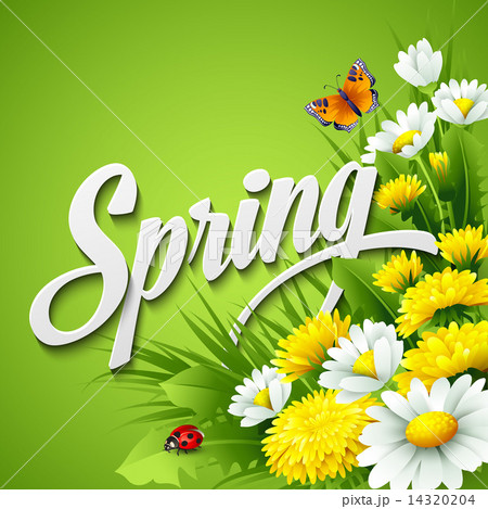 Fresh spring background with dandelions and daisies Fresh spring background with dandelions and daisies 14320204