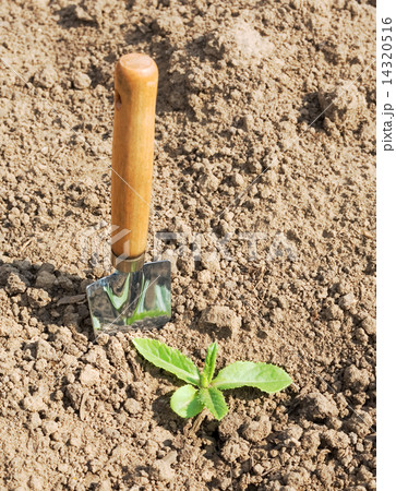 Spade in earth 14320516