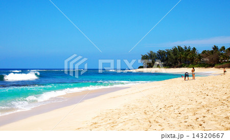 ハワイ、ノースショアのビーチ 14320667