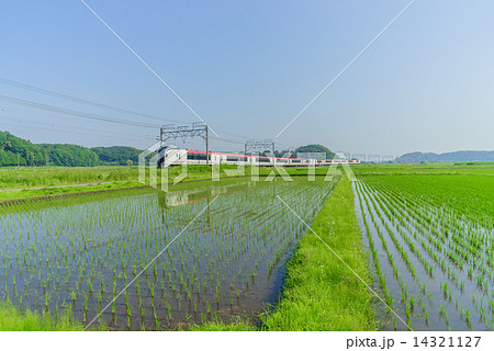 春の千葉の田園風景 春の千葉の田園風景 14321127