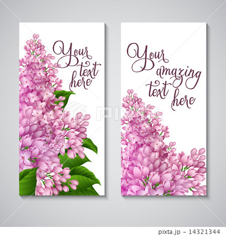 Vector flower background 14321344