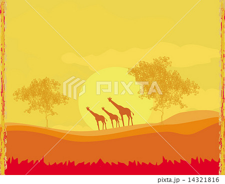 grunge background with giraffe silhouette on sunset African faun grunge background with giraffe silhouette on sunset African faun 14321816
